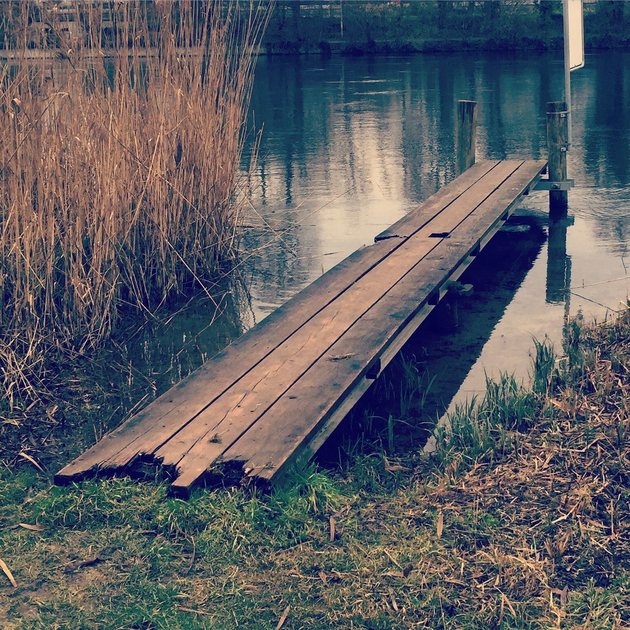 water, wood - material, lake, reflection, pier, wood, grass, tranquility, boat, wooden, high angle view, nature, plant, nautical vessel, day, river, outdoors, jetty, no people, lakeshore