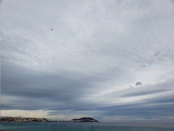 Birds flying over sea against sky