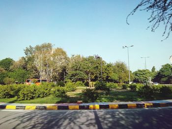 View of trees against clear blue sky