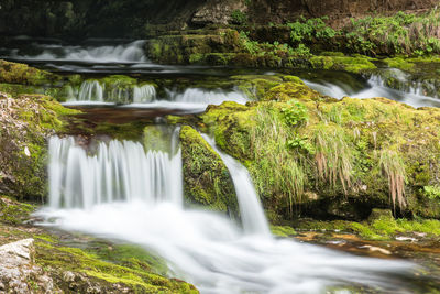 View of waterfall in forest