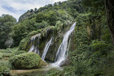 Scenic view of waterfall in forest