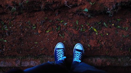 Low section of man wearing canvas shoes standing on ground