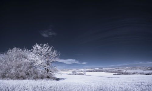 Scenic view of snow covered field against sky