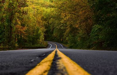 Road amidst trees in forest during autumn