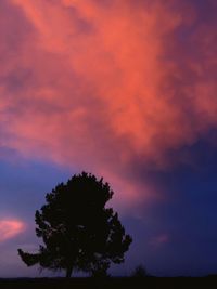 Low angle view of silhouette tree against dramatic sky