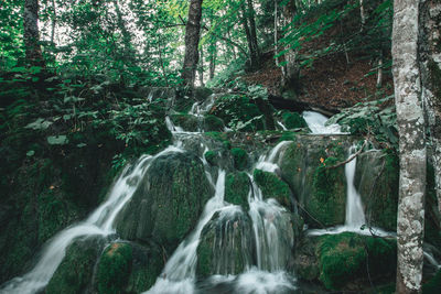 View of waterfall in forest