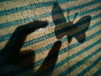 High angle view of shadow on rug