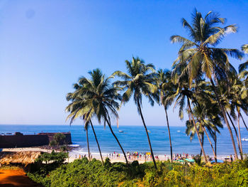 Palm trees on beach against clear blue sky
