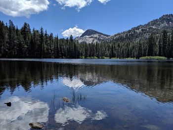 Scenic view of lake by trees against sky