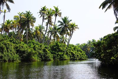 Scenic view of river against clear sky