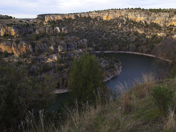Plants growing on land against sky