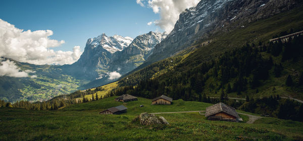 Panoramic view of alpine meadow and mountains against sky