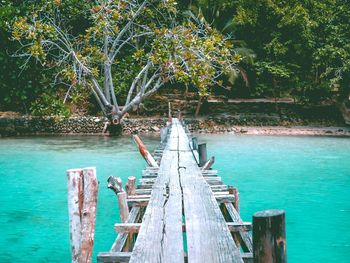 Scenic view of sea against trees