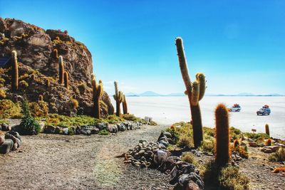 Scenic view of sea against clear blue sky