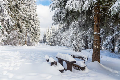 Snow covered landscape