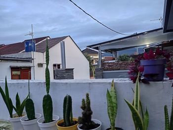 Potted plants outside house against sky