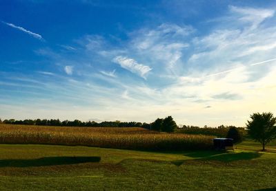 Scenic view of field against sky