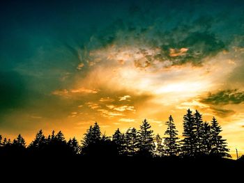Silhouette of trees at sunset