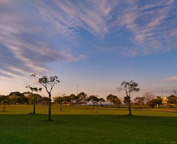 Scenic view of field against sky during sunset