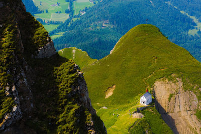 High angle view of trees on mountain