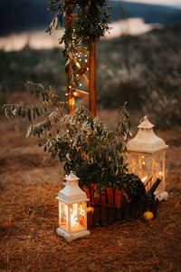 Close-up of illuminated christmas tree on table