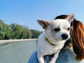 Woman with dog at beach