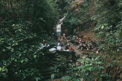 Group of people in the forest