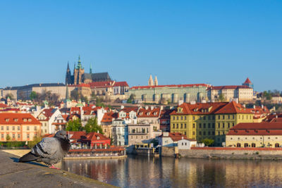 View of buildings in city against clear sky