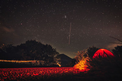 Mt.fuji and starry sky seen from lake motosu