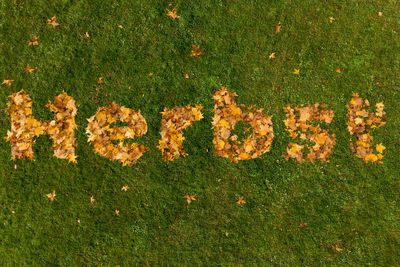 High angle view of text on grassy field