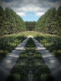 the way forward