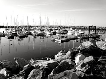 Sailboats moored in harbor