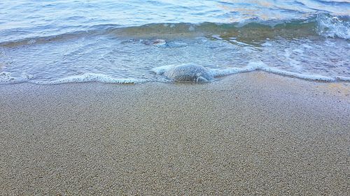 Full frame shot of sand