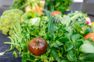 Close-up of fresh red tomato and other garden vegetables on the background