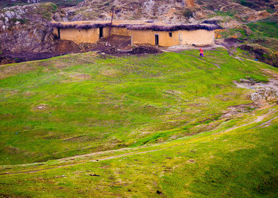 Scenic view of landscape