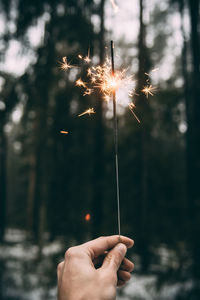 Cropped hand holding sparkler in forest during winter