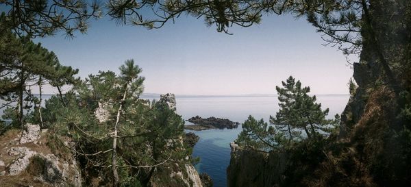 Scenic view of sea against clear sky