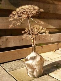 Close-up of flower vase on table