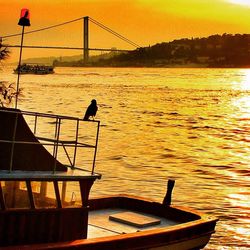 Boats in river at sunset