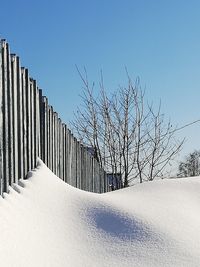 Bare trees on snow covered landscape against clear sky