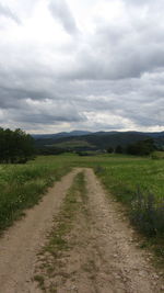 Road amidst agricultural field against sky