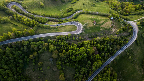 Aerial view of road amidst forest