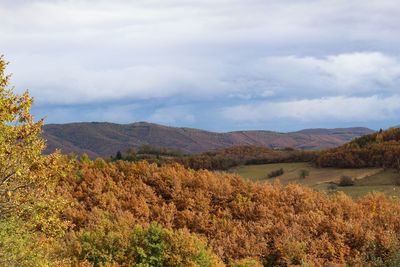 Scenic view of landscape against sky during autumn