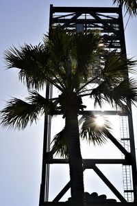 Low angle view of palm trees against clear sky