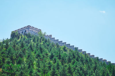 Low angle view of plants against building