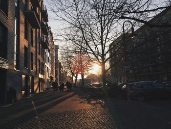 Trees in city against sky at sunset