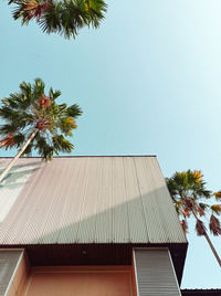 Low angle view of palm tree against clear sky