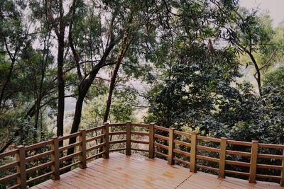 View of wooden fence in forest