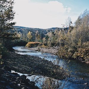 Scenic view of river in forest against sky