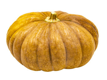 Close-up of pumpkin against orange background
